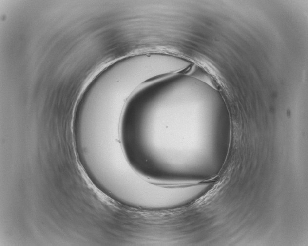 X0000059251046200511041329