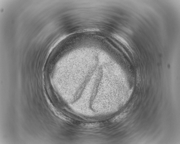 X0000059251047200511041329