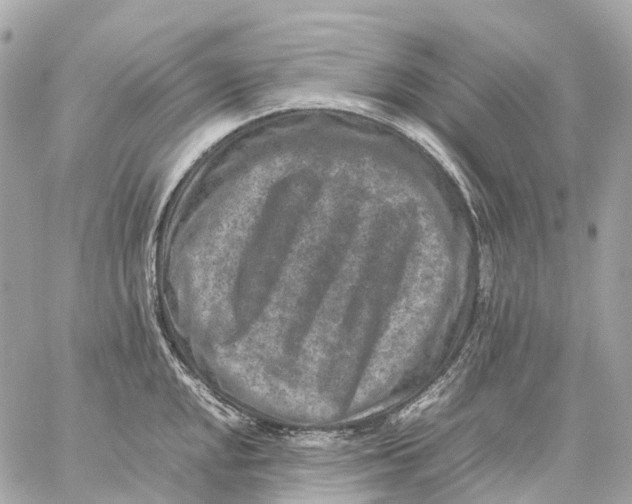 X0000059251048200511041329