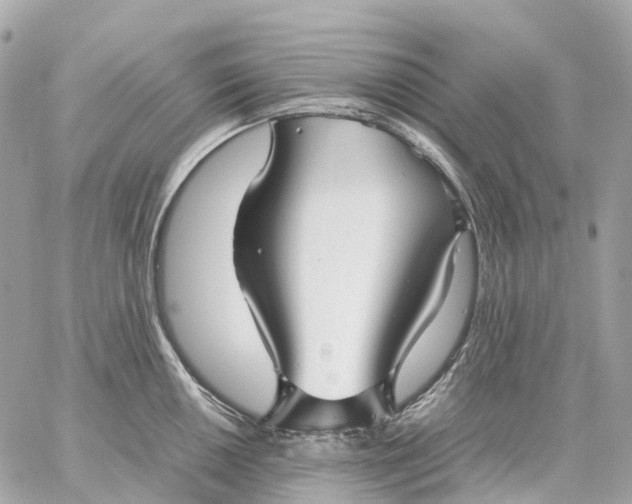 X0000059251050200511041329