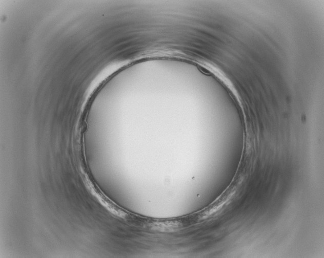 X0000059251053200511041329