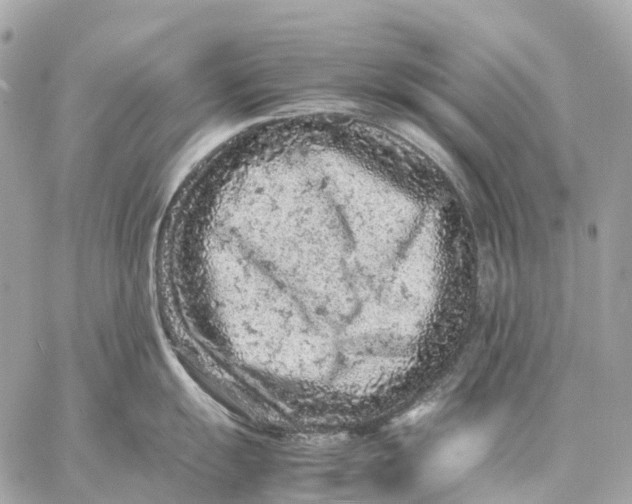 X0000059251055200511041329