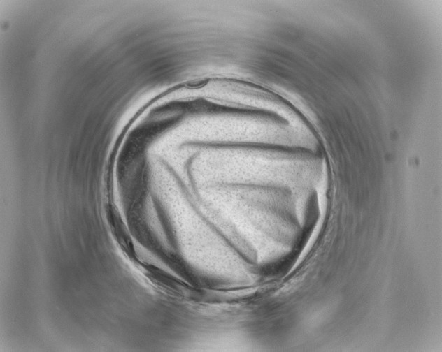 X0000059251056200511041329