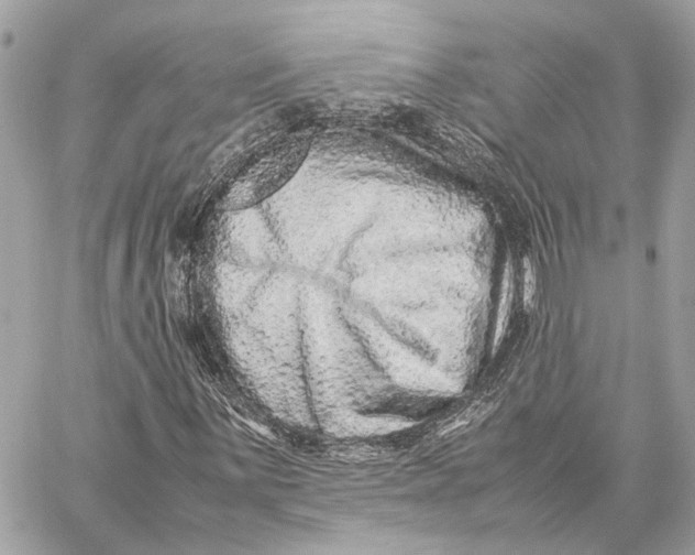 X0000059251059200511041328