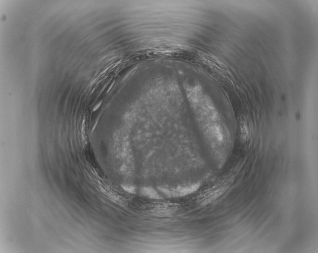 X0000059251060200511041328