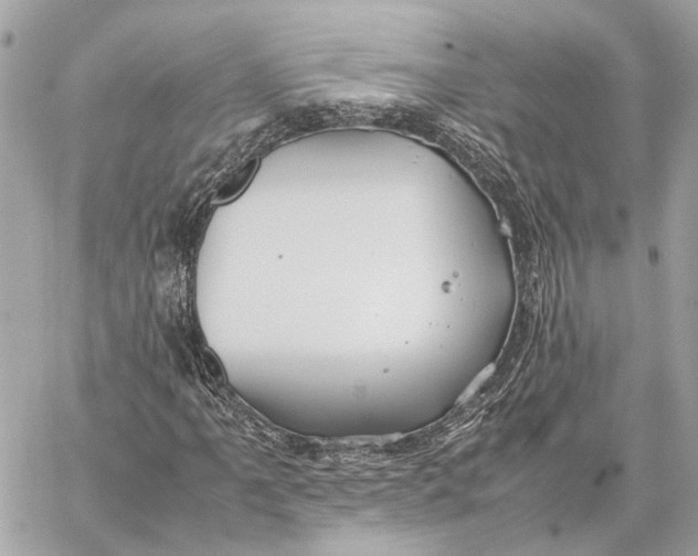 X0000059251061200511041328