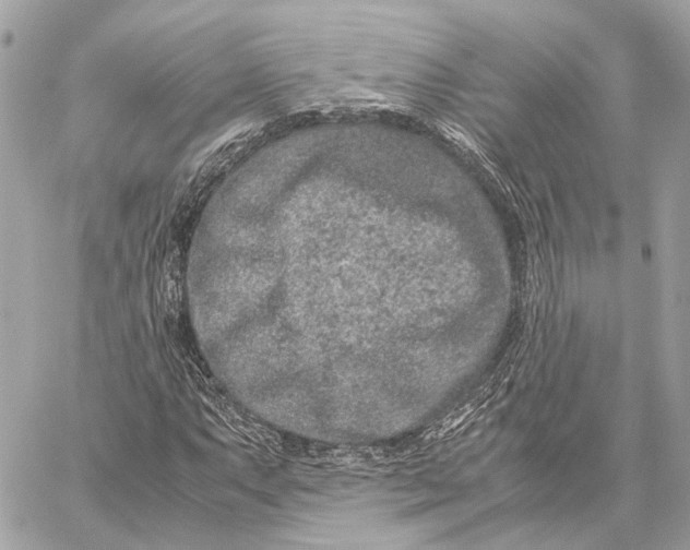 X0000059251063200511041328