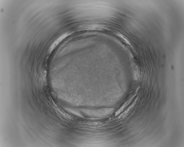 X0000059251066200511041328