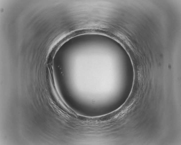 X0000059251069200511041328