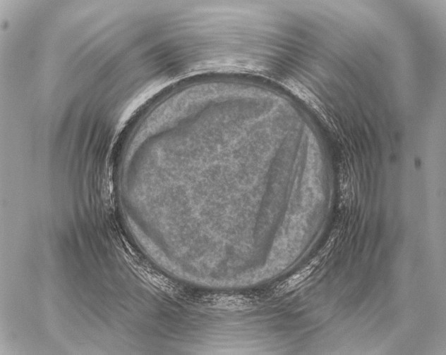 X0000059251070200511041328