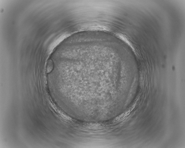 X0000059251071200511041328