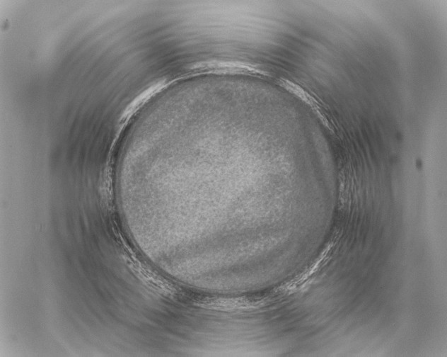 X0000059251074200511041328