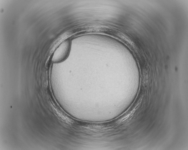 X0000059251075200511041328