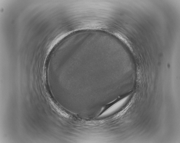 X0000059251077200511041328