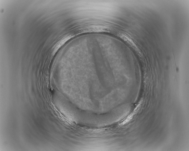 X0000059251081200511041328