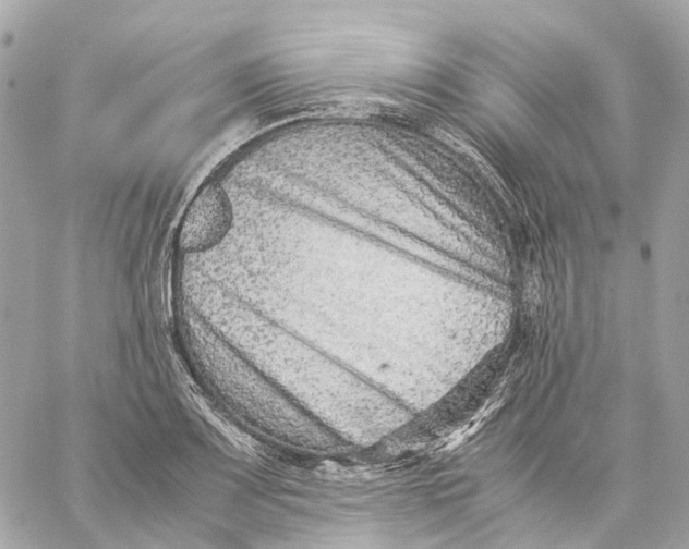 X0000059251083200511041328