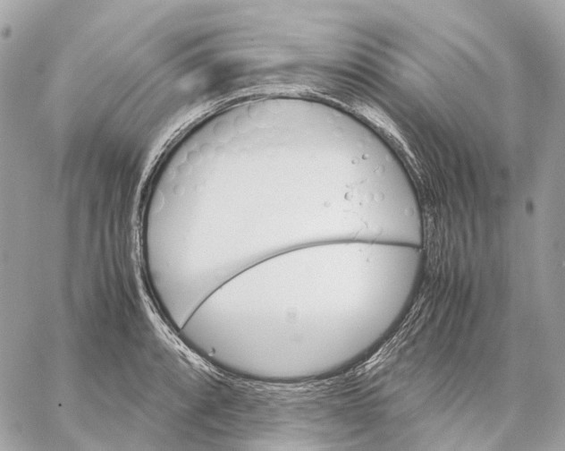 X0000059251088200511041327