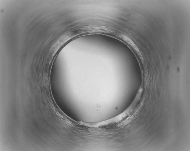 X0000059251089200511041327