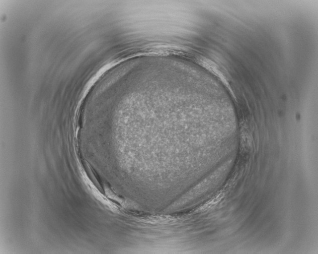 X0000059251091200511041327