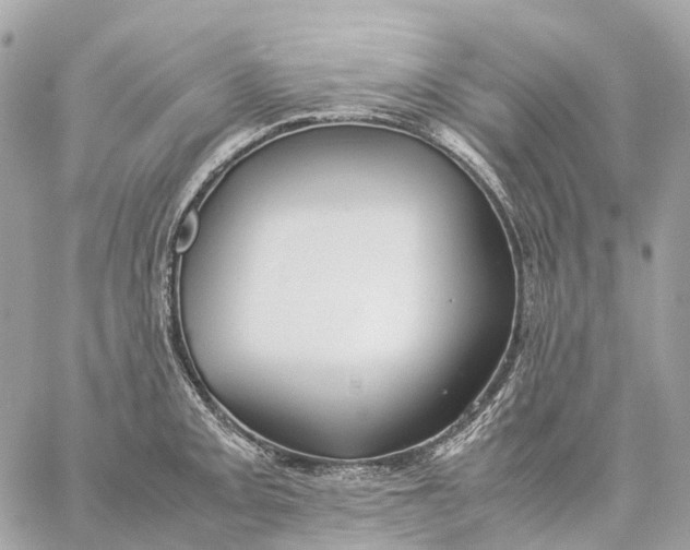 X0000059251093200511041327