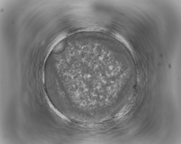 X0000059251095200511041327