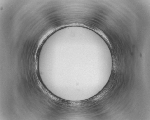 X0000059251096200511041327