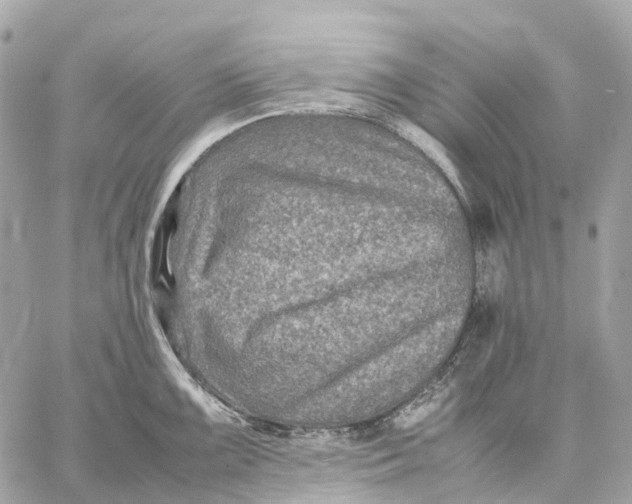 X0000059251099200511041327