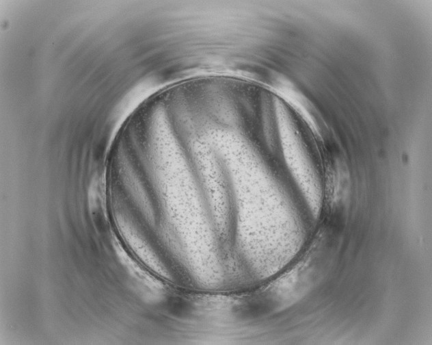 X0000059251100200511041327