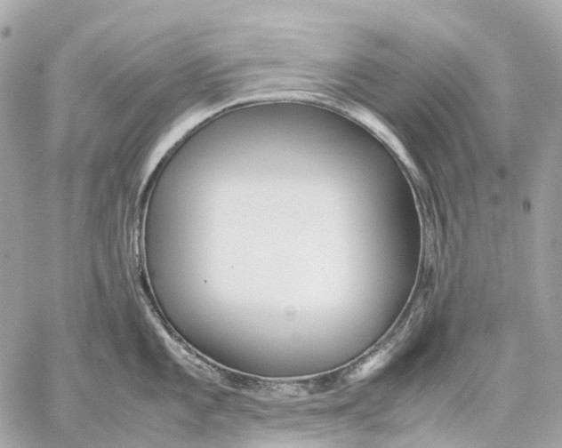 X0000059251101200511041327