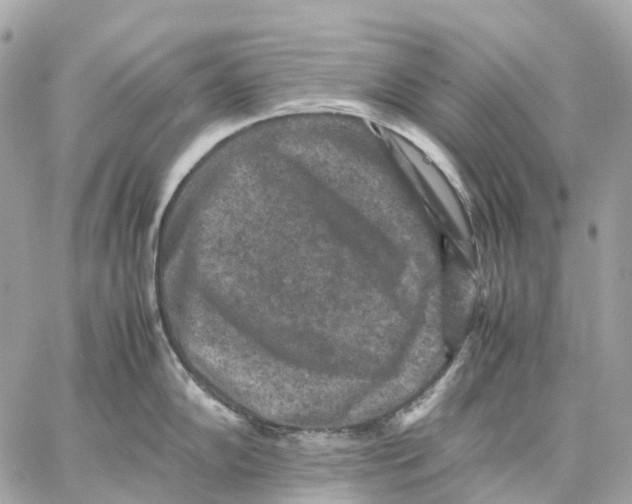 X0000059251102200511041327