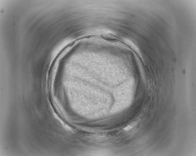 X0000059251103200511041327