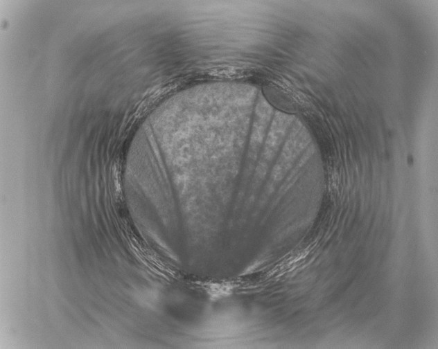 X0000059251106200511041326