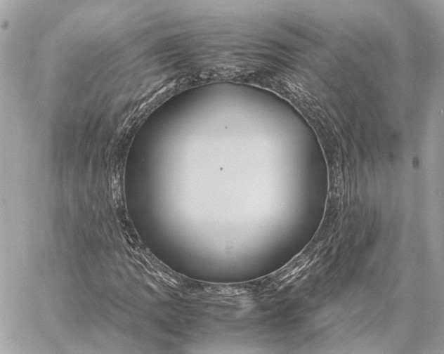 X0000059251109200511041326