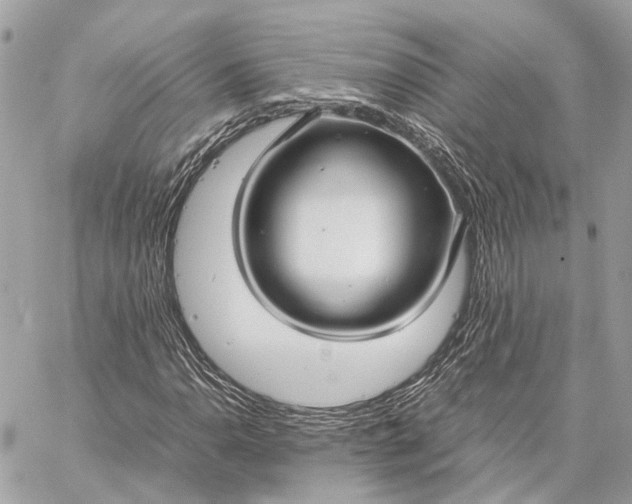 X0000059251110200511041326