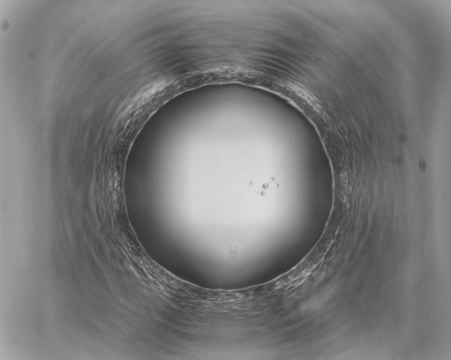 X0000059251111200511041326