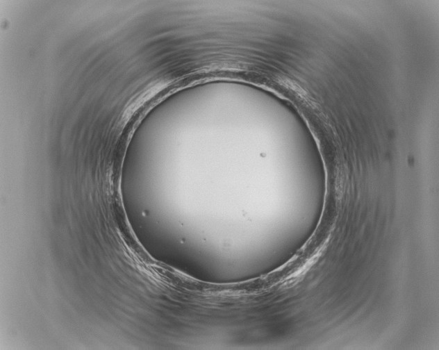 X0000059251113200511041326