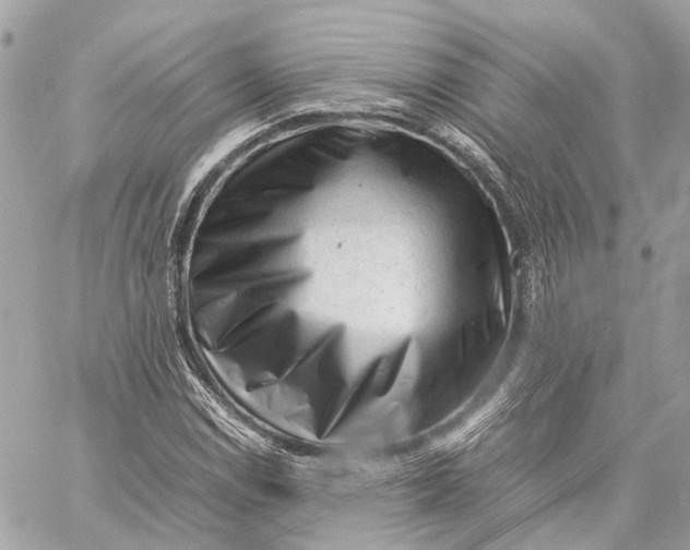 X0000059251114200511041326