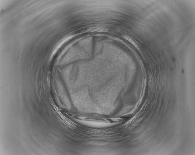 X0000059251115200511041327