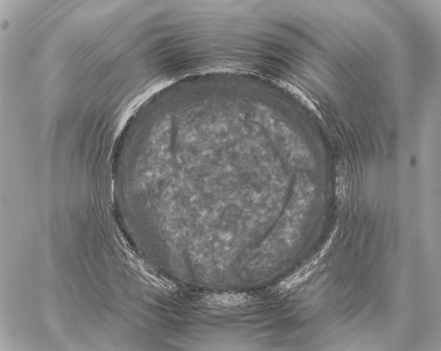 X0000059251117200511041327