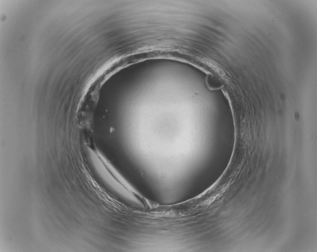 X0000059251118200511041327