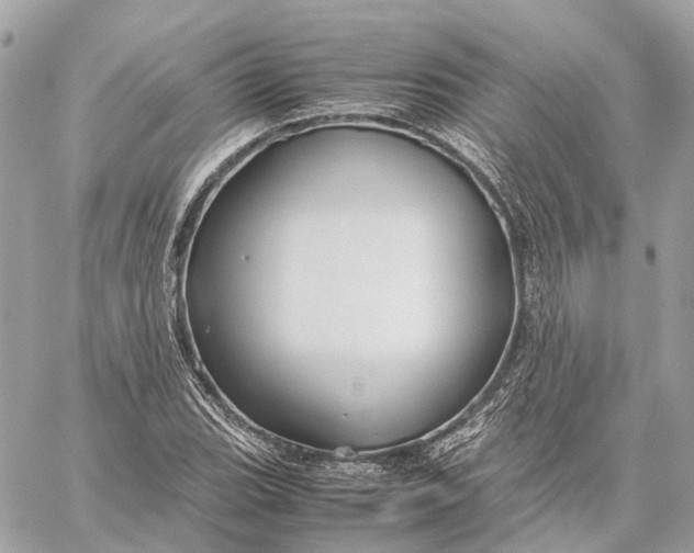 X0000059251119200511041327