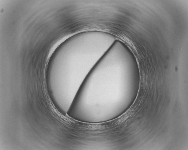 X0000059251120200511041327