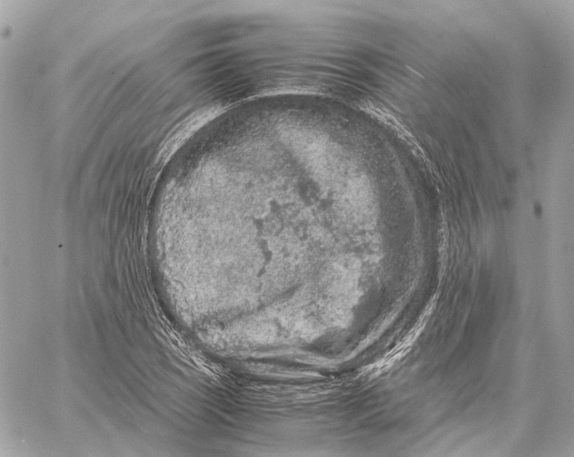 X0000059251121200511041327