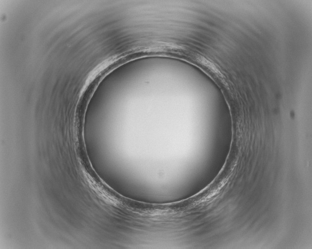 X0000059251122200511041327