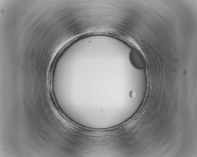 X0000059251124200511041327