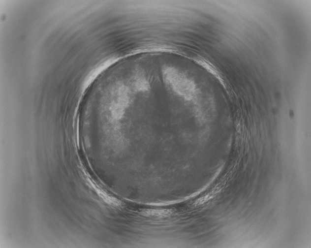 X0000059251127200511041327