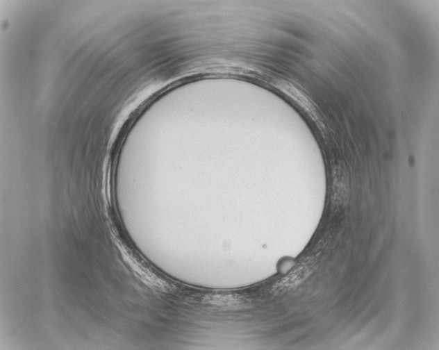 X0000059251128200511041327