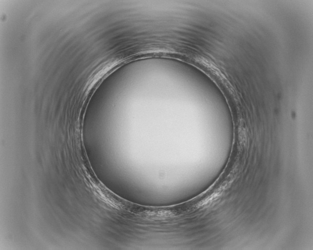 X0000059251129200511041327