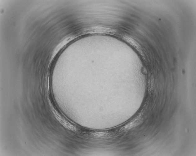 X0000059251130200511041327