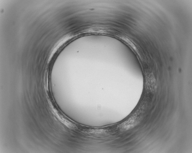 X0000059251131200511041327